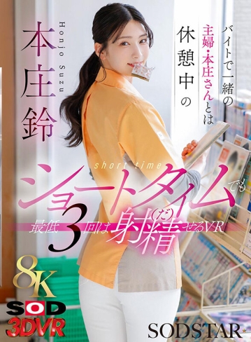 3DSVR-1795/13dsvr01795のキービジュアル