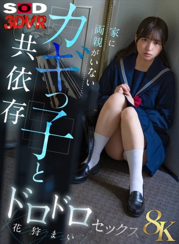 3DSVR-1832/13dsvr01832のキービジュアル