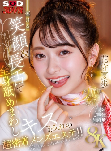 3DSVR-1838/13dsvr01838のキービジュアル