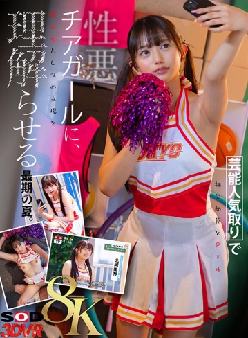 3DSVR-1893/13dsvr01893のキービジュアル