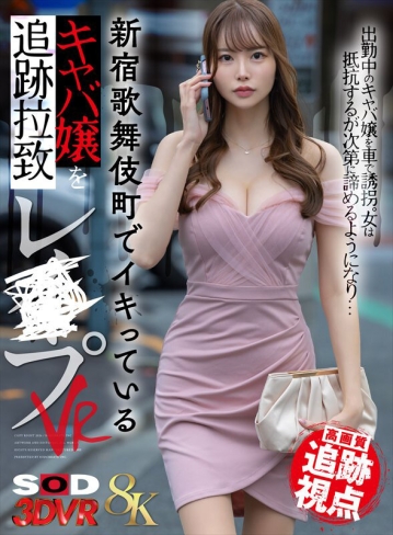 3DSVR-2005/13dsvr02005のキービジュアル