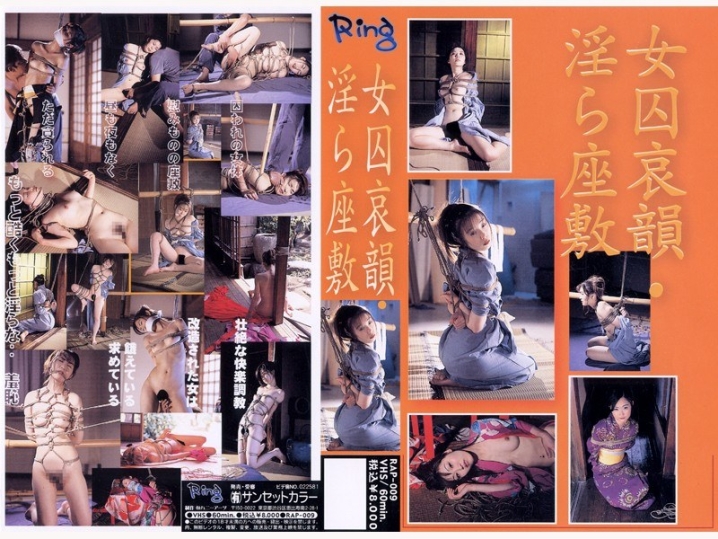 PAP-000/178pap009のメインビジュアル