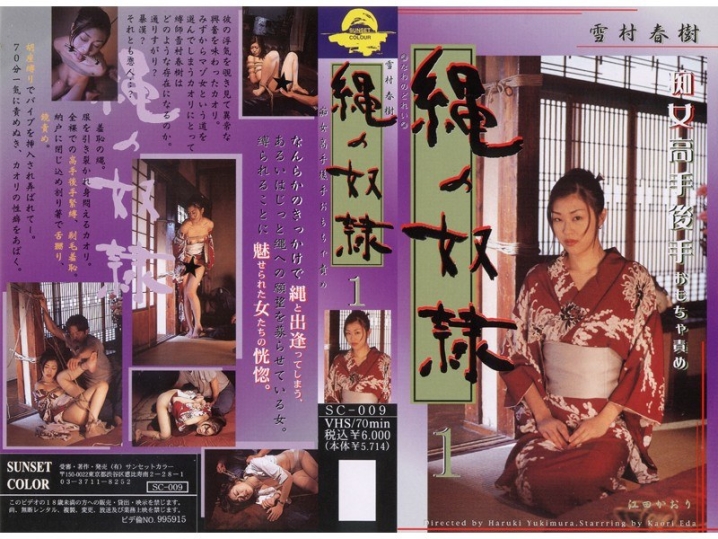 SC-000/178sc009のメインビジュアル