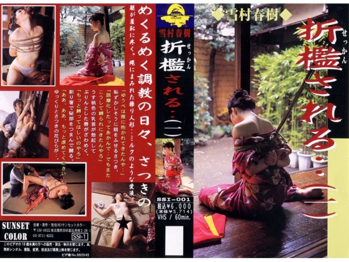 SSI-000/178ssi001のメインビジュアル
