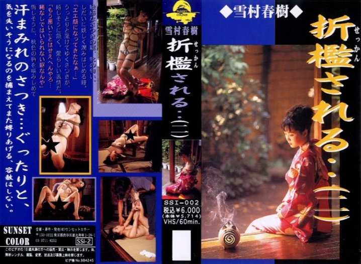 SSI-000/178ssi002のメインビジュアル