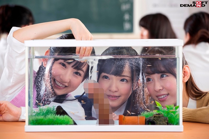 SDDE-556/1sdde00556のキービジュアル