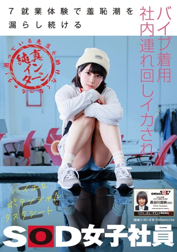 SDJS-262/1sdjs00262のキービジュアル