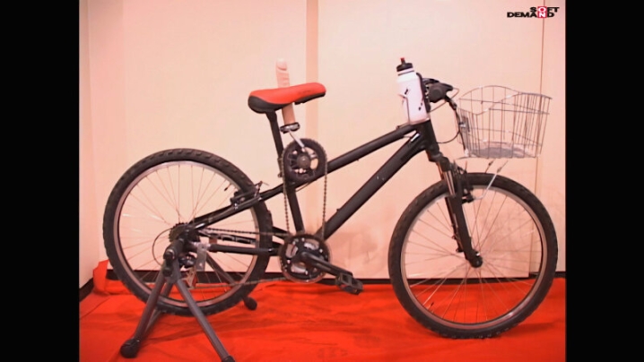 SDMSA-209-I/1sdms00209aiのティザービジュアル2