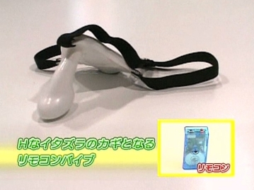 SDMS-000/1sdms387のキービジュアル