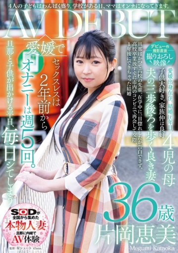 SDNMV-091/1sdnm00391v01のメインビジュアル