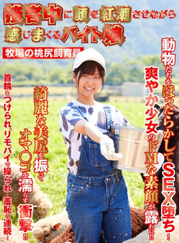 SHH-027/1shh00027のキービジュアル