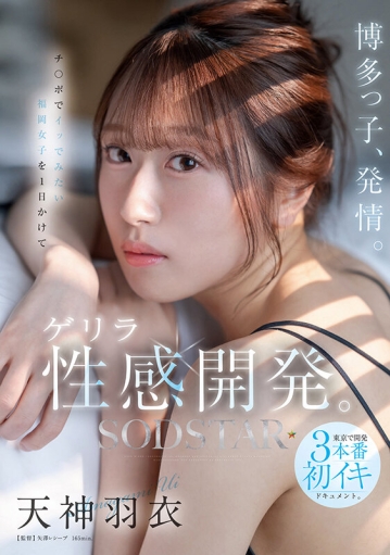 START-358/1start00358のキービジュアル