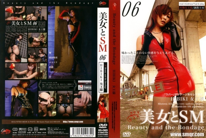 BS-006-D/29bs00006dのメインビジュアル