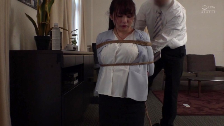 DFE-047/2dfe00047のキービジュアル