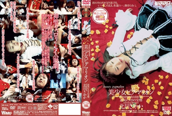 DRD-016/2drd00016のメインビジュアル