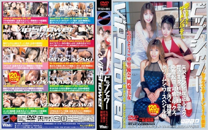 WSD-000/2wsd001のメインビジュアル