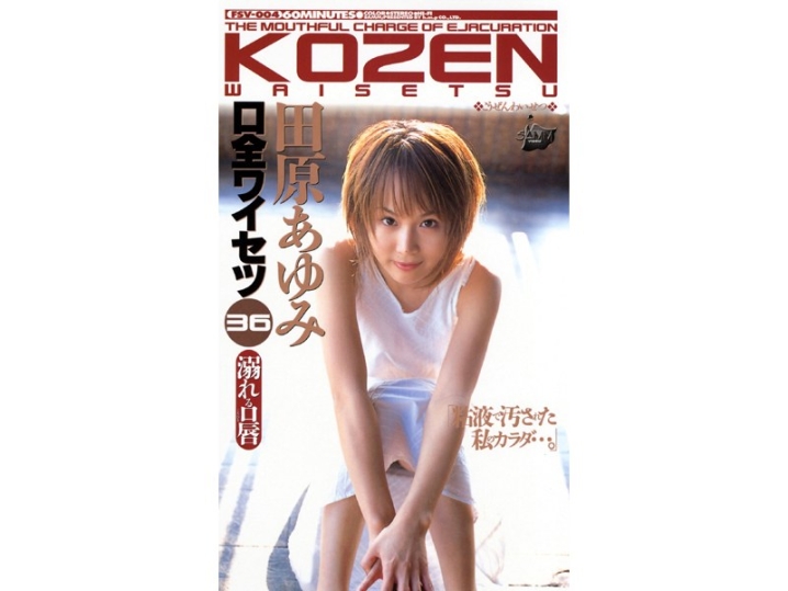 FSV-000/41fsv004のメインビジュアル