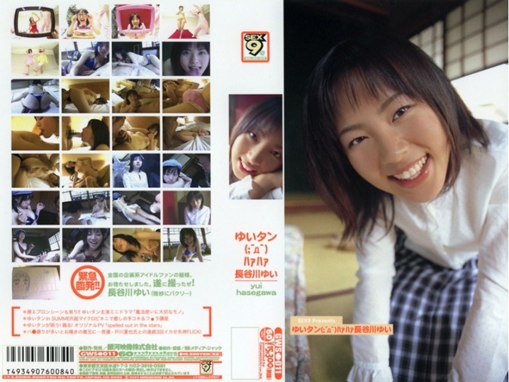 GWS-000/41gws011のメインビジュアル