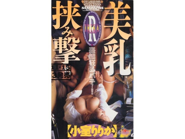 NSV-000/41nsv033のメインビジュアル