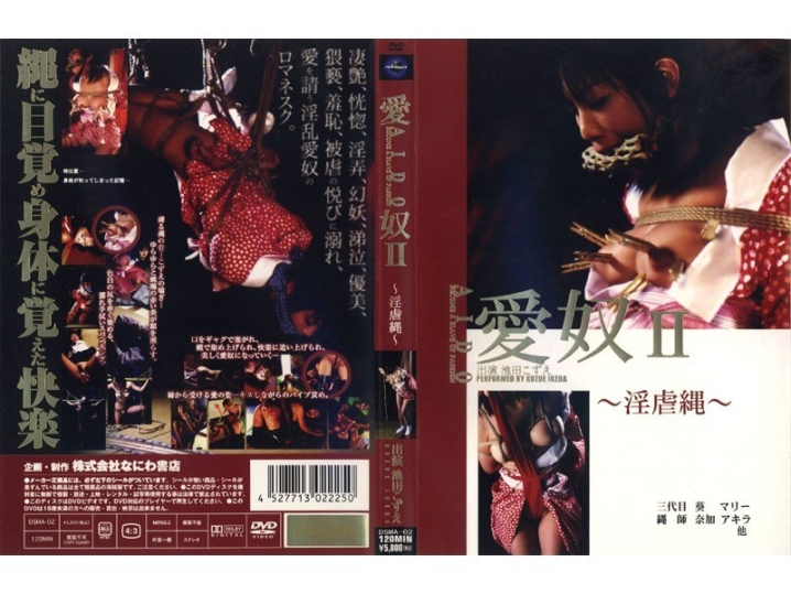 DSMA-000/428dsma02のメインビジュアル