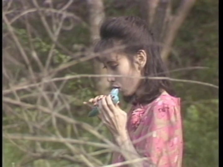SH-042/47sh00042のキービジュアル