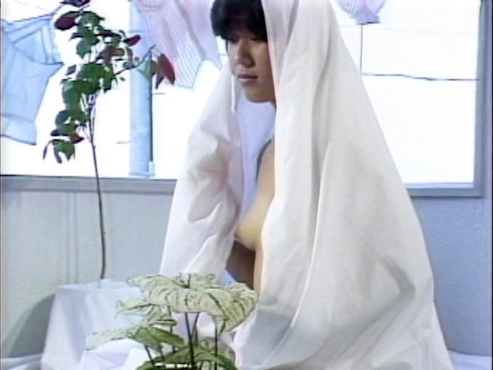 SH-043/47sh00043のキービジュアル