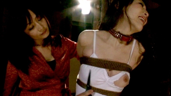 CMV-038/51cmv00038のティザービジュアル1