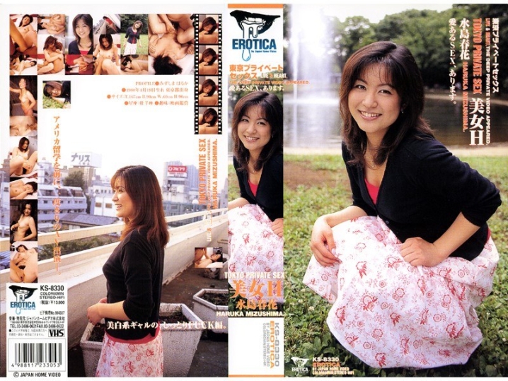 KS-000/53ks8330のメインビジュアル