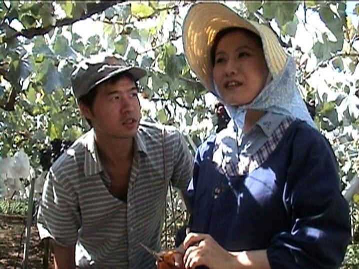 HET-355/59het00355のキービジュアル