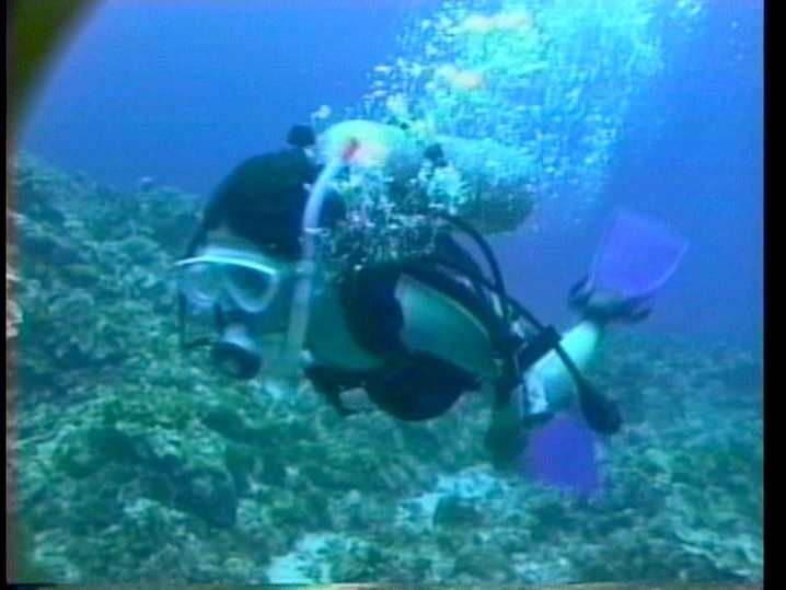 STV-1064/65stv01064のティザービジュアル1