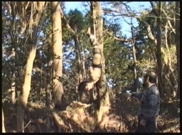 AXDVD-415/86axdvd00415のキービジュアル