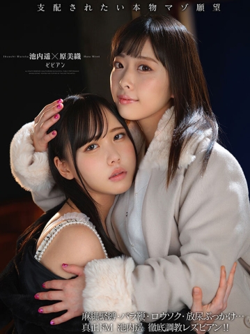 BBAN-533/bban00533のキービジュアル