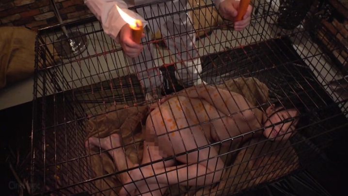 CMV-205/cmv00205のティザービジュアル1