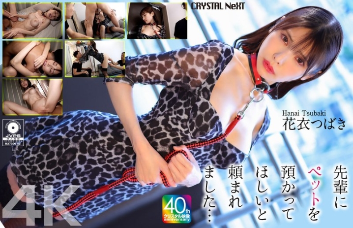 CRNX-254/crnx00254のメインビジュアル