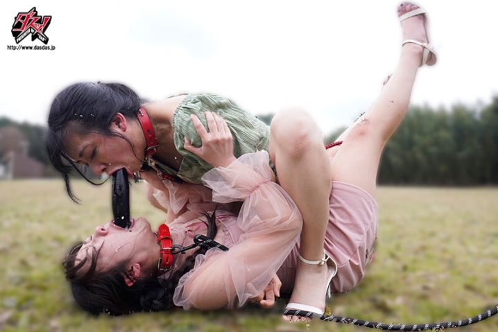 DASS-779/dass00779のキービジュアル