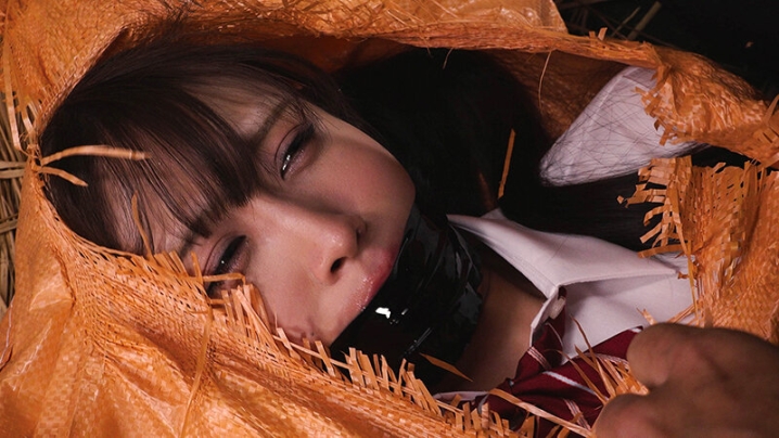 DDK-238/ddk00238のティザービジュアル2