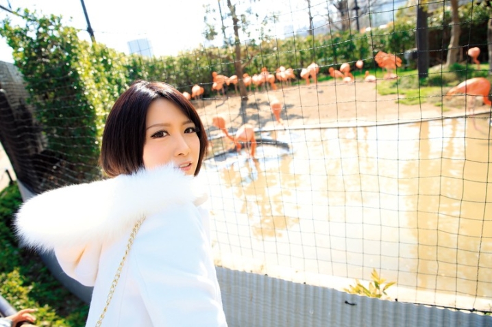 DVAJ-233/dvaj00233のキービジュアル