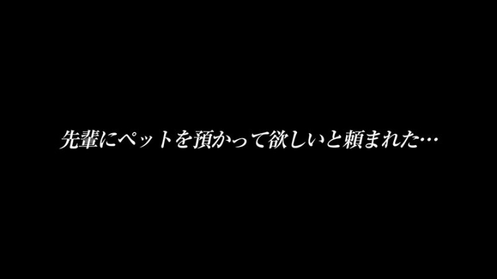 EKDV-672/ekdv00672のキービジュアル