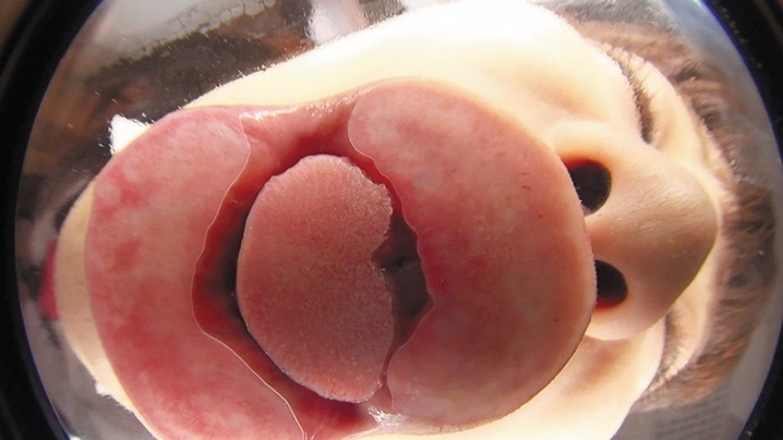 EVIS-318/evis00318のティザービジュアル2