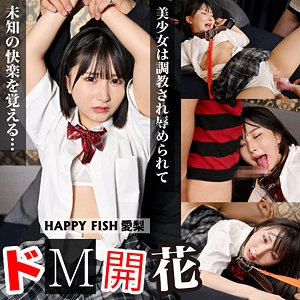 H-646/h646のメインビジュアル