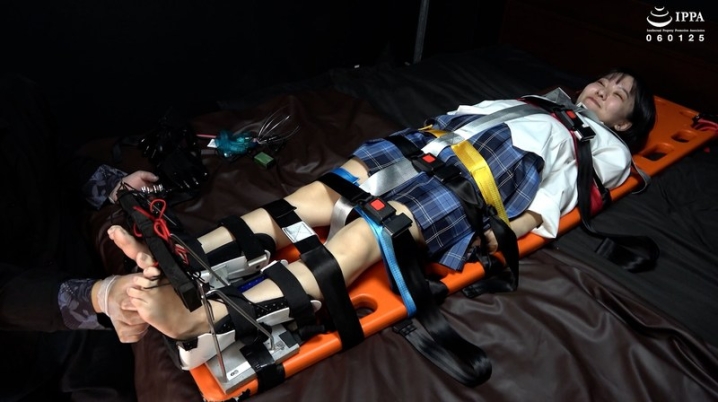 AD-2021/h_1416ad02021のメインビジュアル