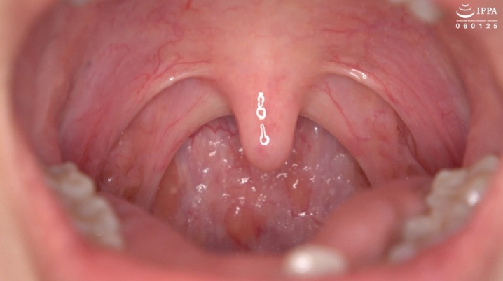 AD-2042/h_1416ad02042のメインビジュアル