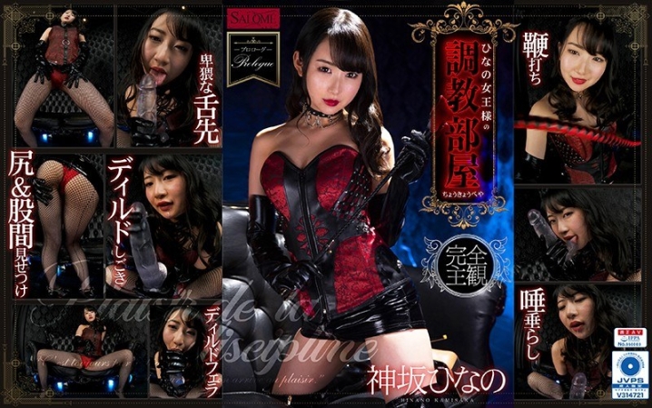 SPVR-09/h_1419spvr00009のメインビジュアル