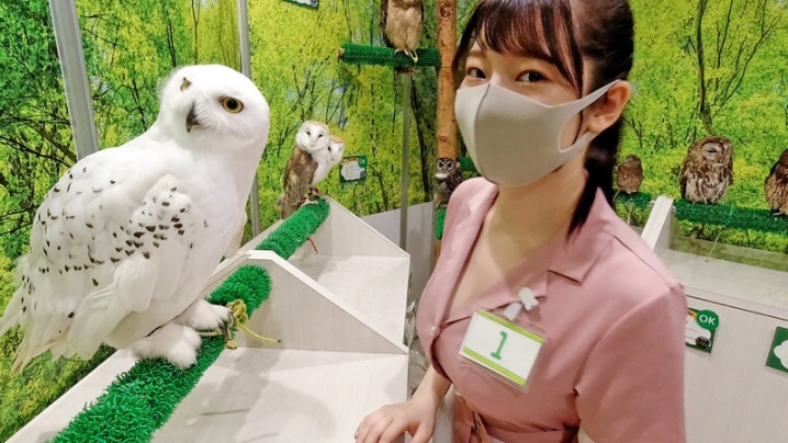 INSTV-195/h_1472instv00195のキービジュアル