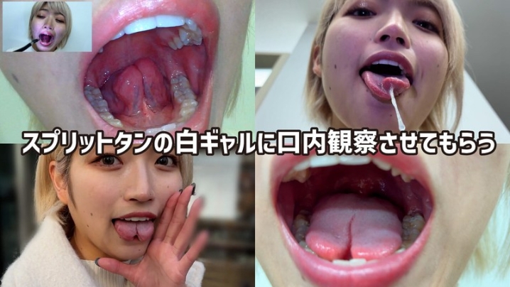 NKO-500001/h_1651nko0500001のメインビジュアル