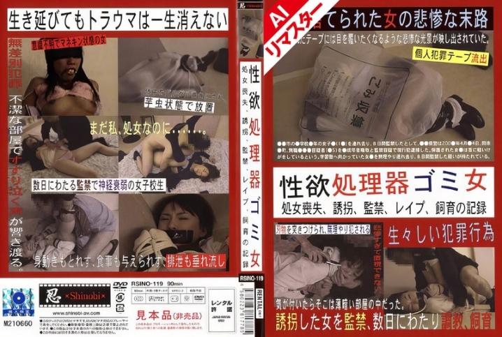 RSINO-119i/h_210rsino00119aiのメインビジュアル