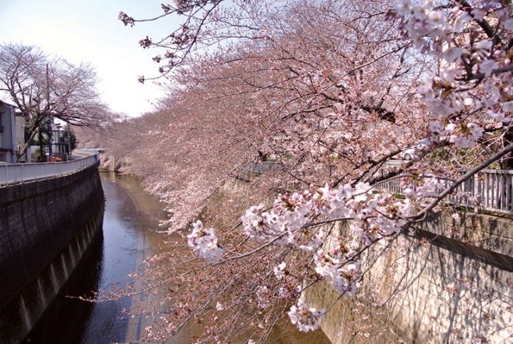 GHAT-133/h_254ghat00133のキービジュアル