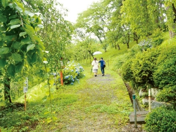 OFKU-14/h_254ofku00014のキービジュアル