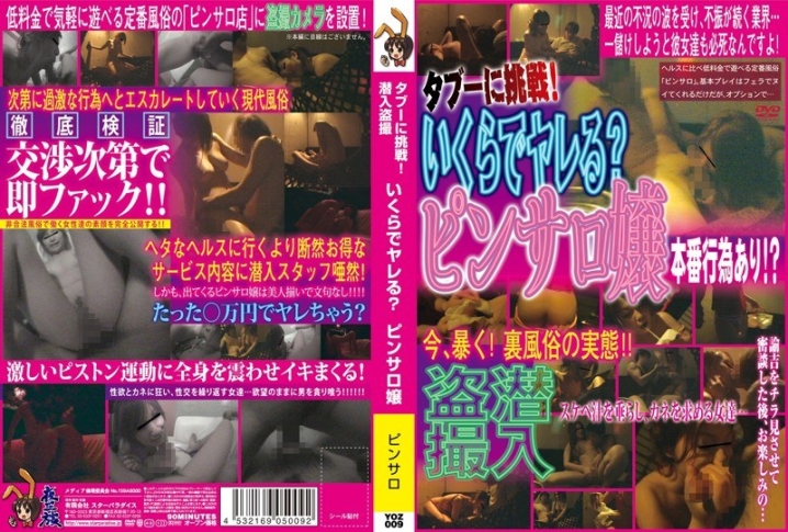 YOZ-09r/h_254yoz009rのメインビジュアル