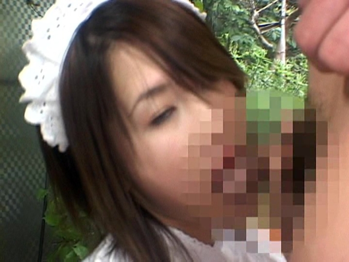 IMGS-14/h_259imgs00014のティザービジュアル1